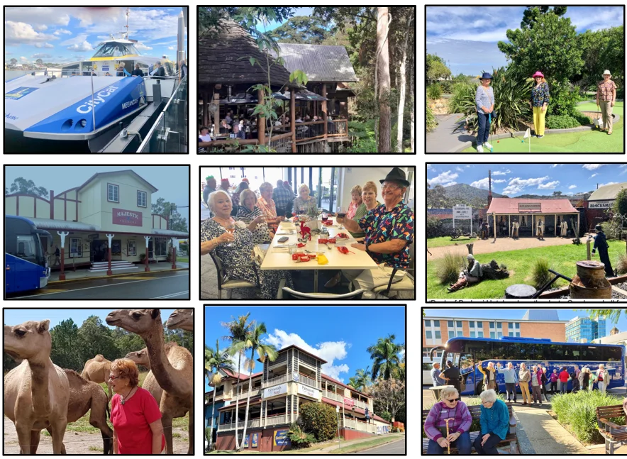 Previous club activities