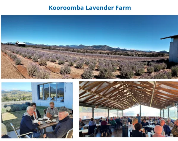 Kooroomba Lavender Farm