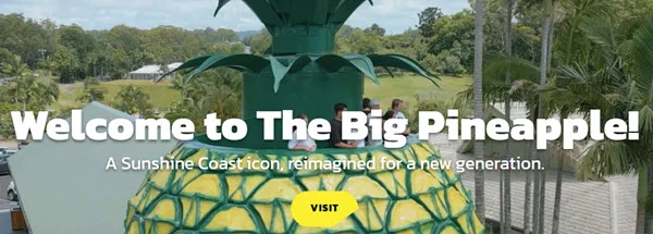 Big Pineapple